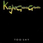 KajaGooGoo