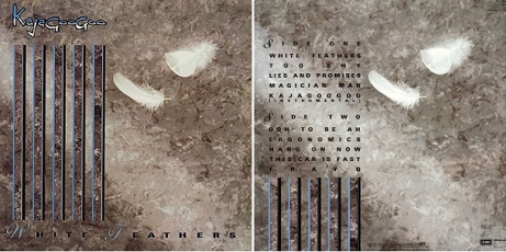 white-feathers-front-back1